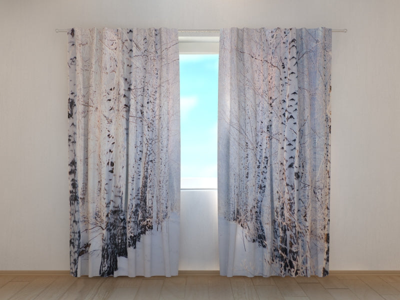 Fotogardine Birkenhain im Schnee