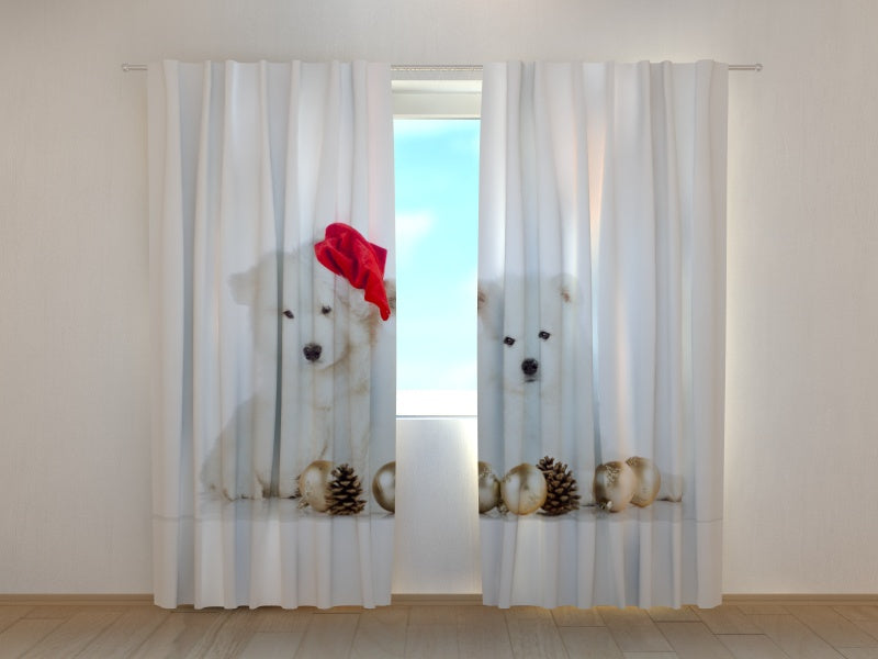 Fotogardine Weihnachtswelpen