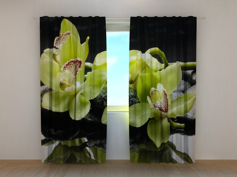 Fotogardine Zitrusorchideen 2