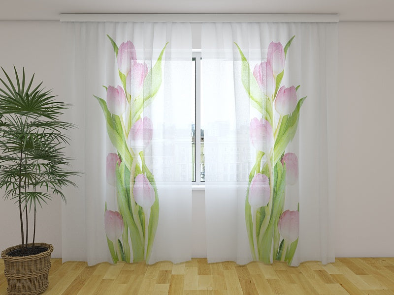 Fotogardine Rosa Tulpen