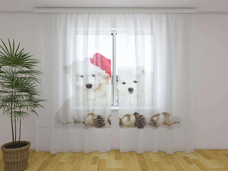Fotogardine Weihnachtswelpen