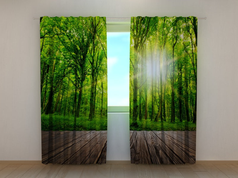 Fotogardine Wald vor der Haustür