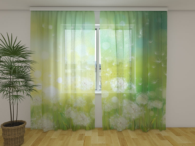 Fotogardine Weißer Löwenzahn im grünen Gras