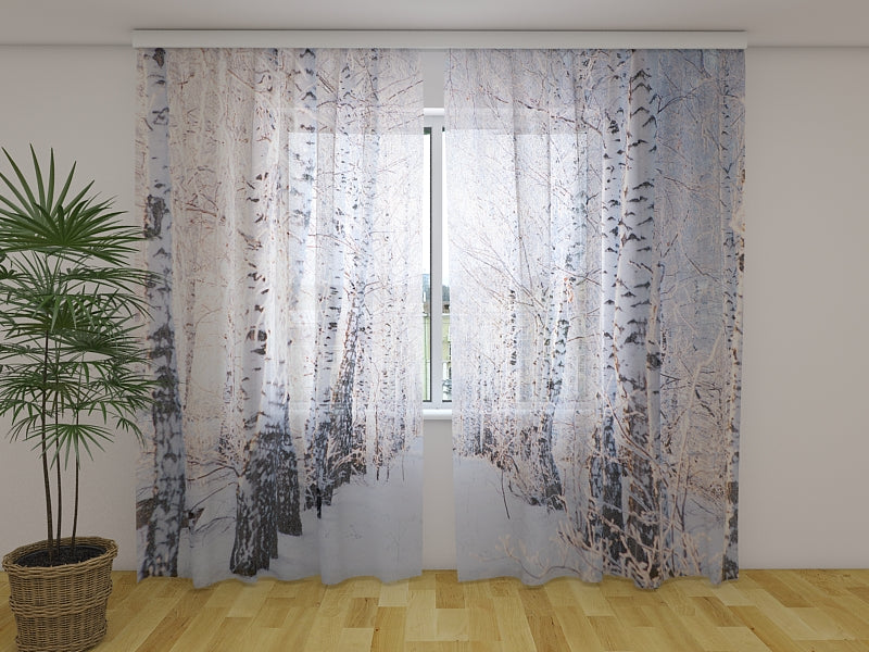 Fotogardine Birkenhain im Schnee