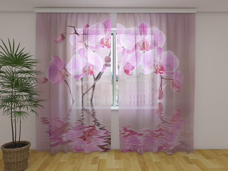 Fotogardine Lilienorchidee