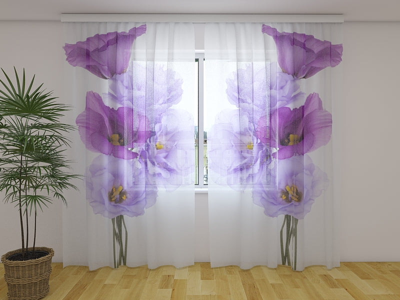 Fotogardine Muse