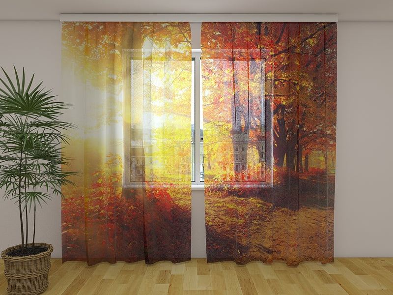 Fotogardine Sonne im Park