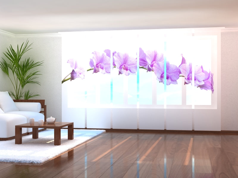 Schiebegardinen Fantastische lila Orchideen