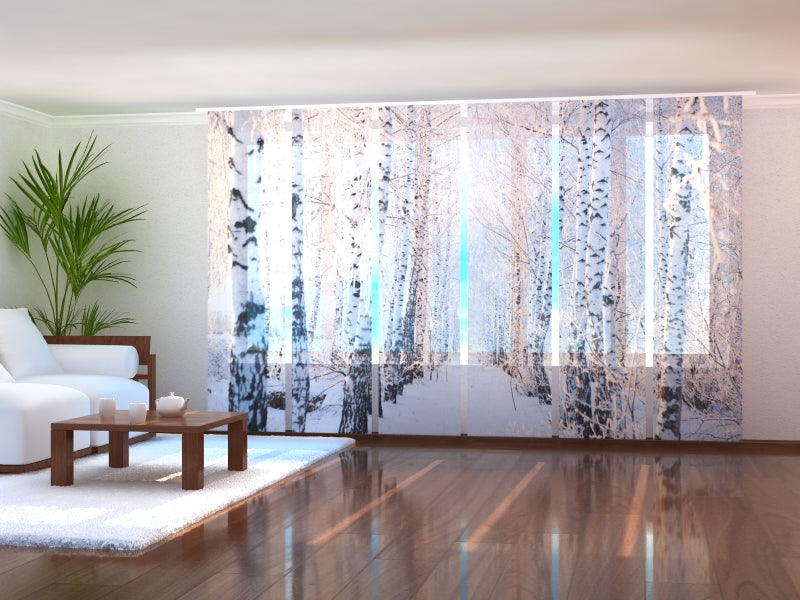 Schiebegardinen Birkenhain im Schnee