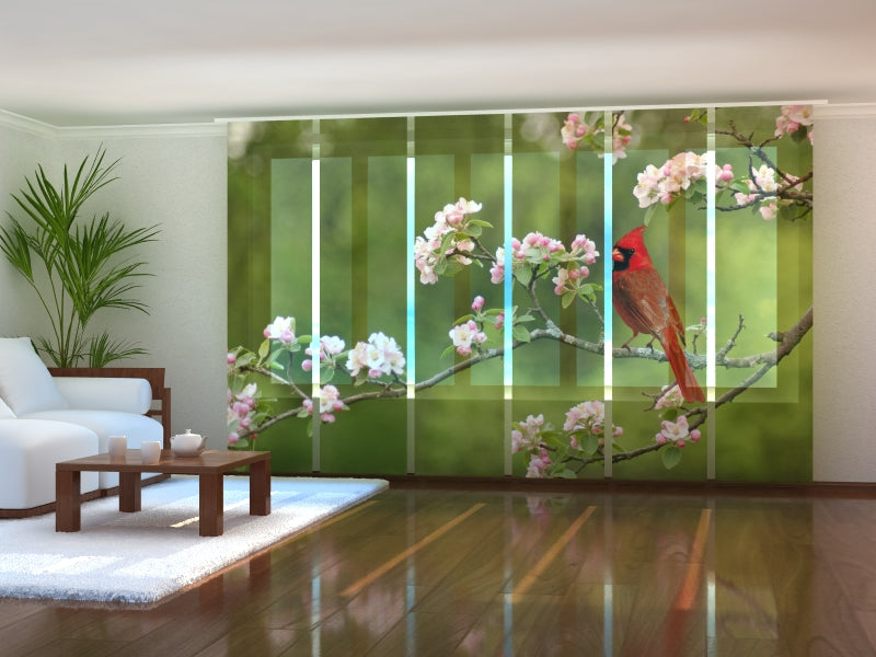 Schiebegardinen Vogelkardinal auf einem Frühlingszweig