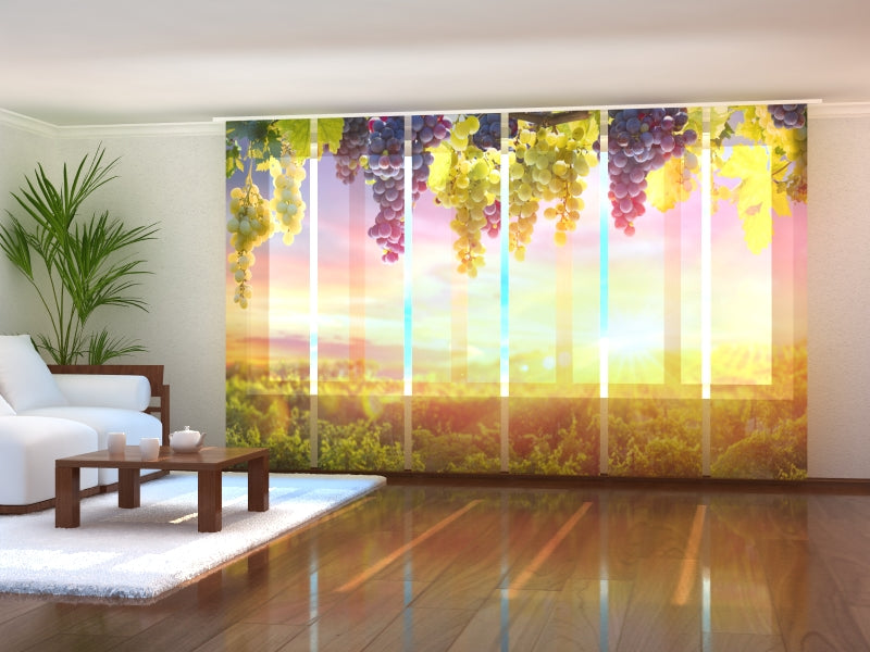 Schiebegardinen Weintrauben in der Sommersonne