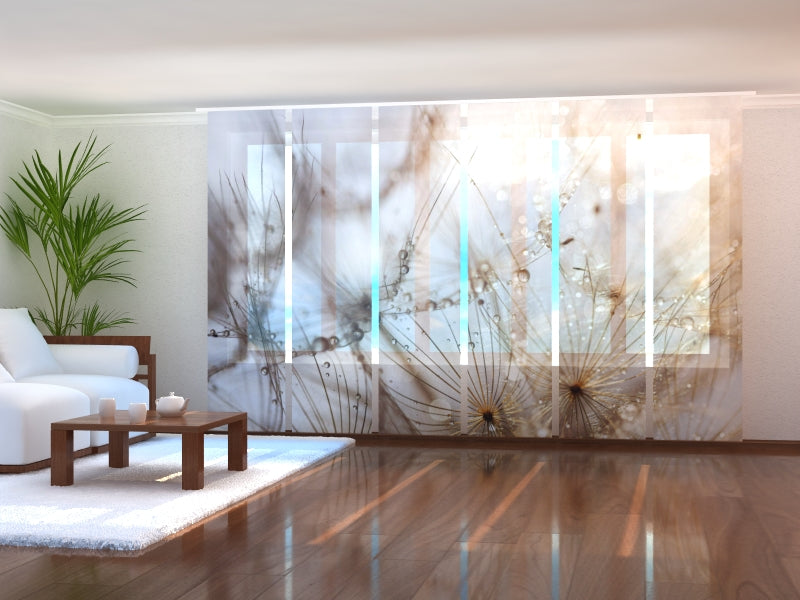 Schiebegardinen Zarte Löwenzahnblume