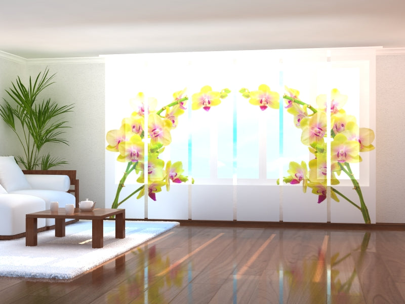 Schiebegardinen Sonnige Orchidee