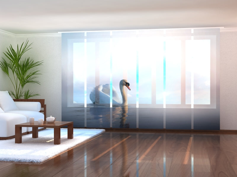 Schiebegardinen Schwan schwimmt bei Sonnenaufgang