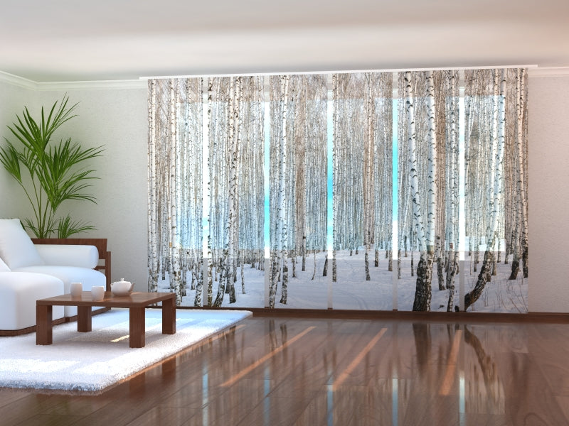 Schiebegardinen Winterlicher Birkenwald