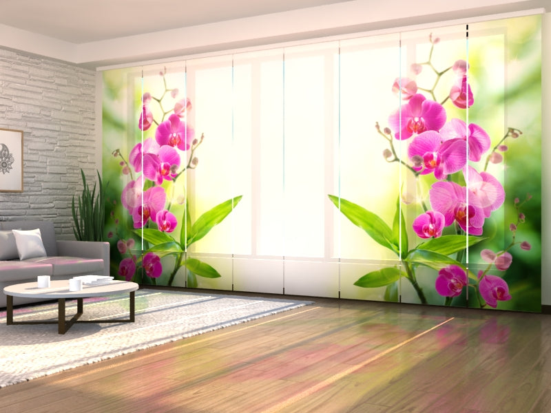 Schiebegardinen Farben des Sommers