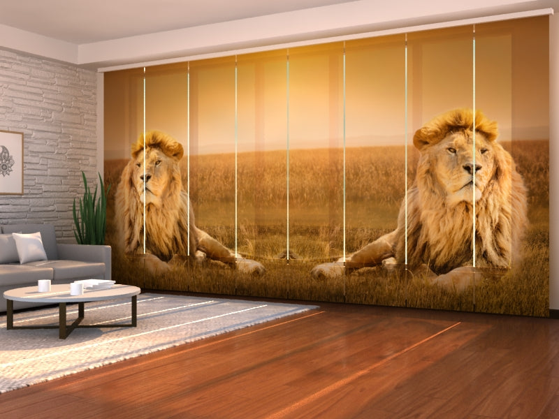 Schiebegardinen König der Bestien