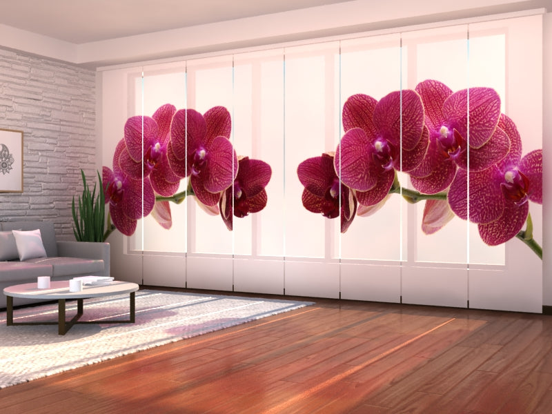 Schiebegardinen Lila Glück