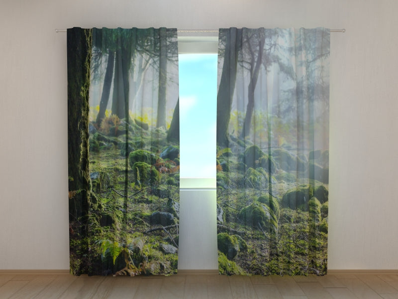 Fotogardine Regenwald bei Sonnenaufgang