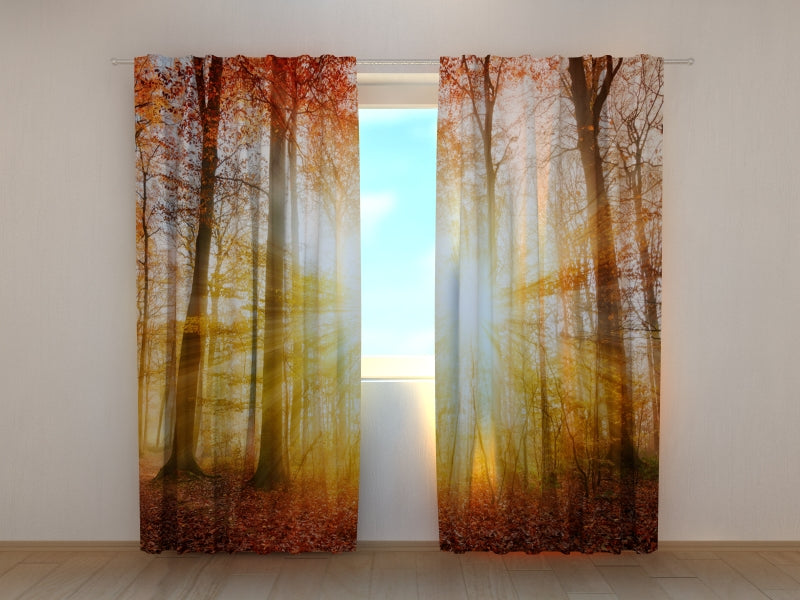 Fotogardine Schönes Herbstsonnenlicht in einem Wald