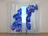 Fotogardine Blaue Orchidee