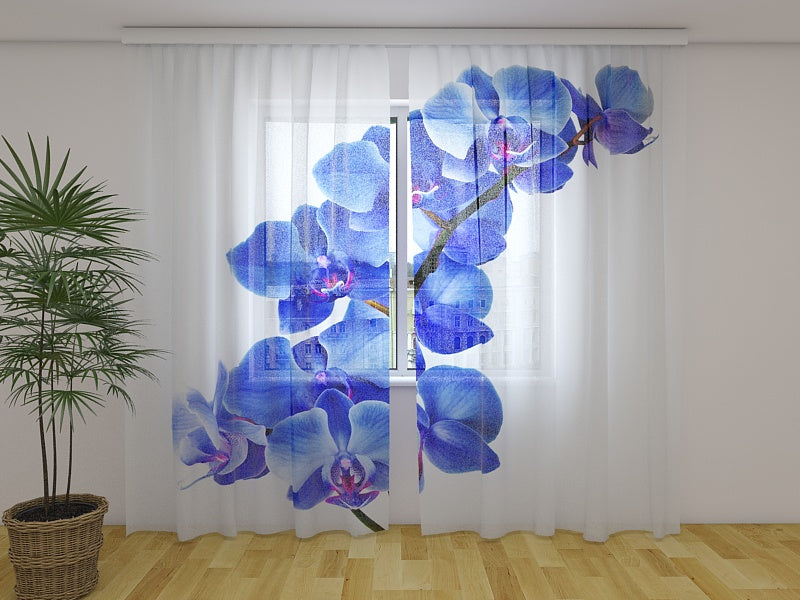 Fotogardine Blaue Orchidee