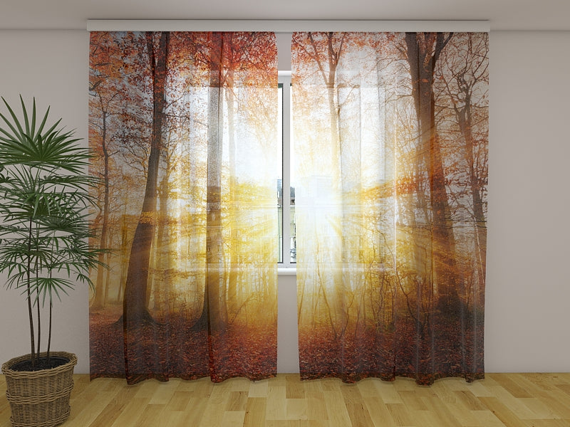 Fotogardine Schönes Herbstsonnenlicht in einem Wald