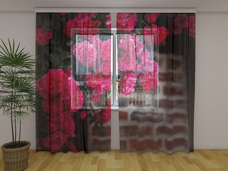 Fotogardine Busch aus rosa Rosen auf einer Mauer