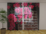 Fotogardine Busch aus rosa Rosen auf einer Mauer