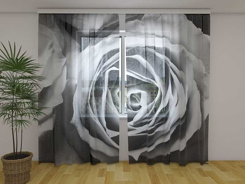 Fotogardine Rosen in Schwarz- und Weißtönen