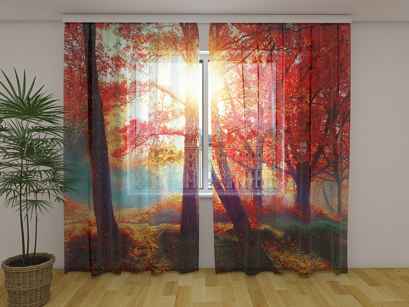 Fotogardine Sonnenschein im roten Herbstwald