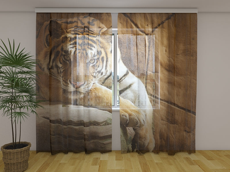 Fotogardine Tiger auf einem Felsen