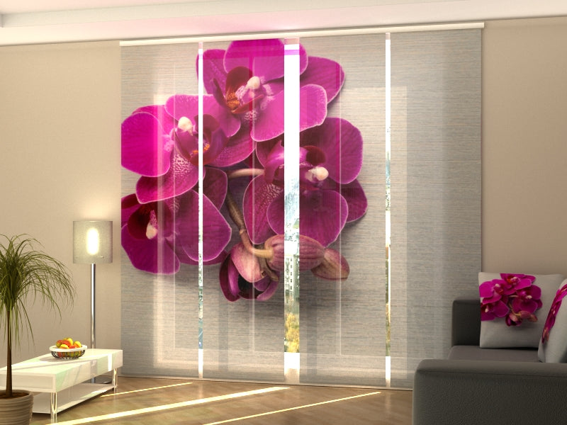 Schiebegardinen Himbeerorchidee auf grauem Holz