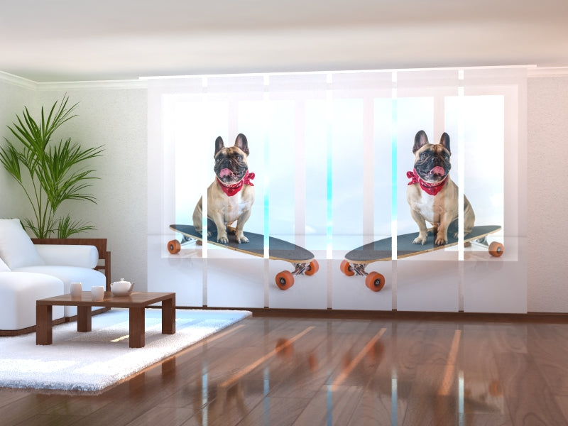 Schiebegardinen Französische Bulldogge auf Skateboard