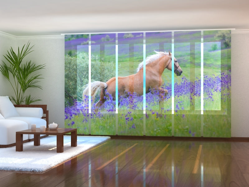 Schiebegardinen Palomino-Pferd auf dem Blumenfeld