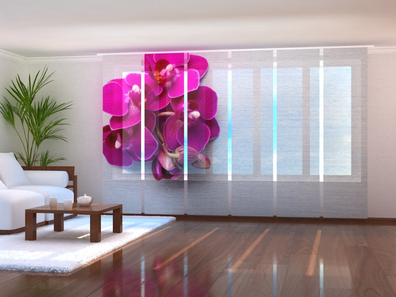 Schiebegardinen Himbeerorchidee auf grauem Holz