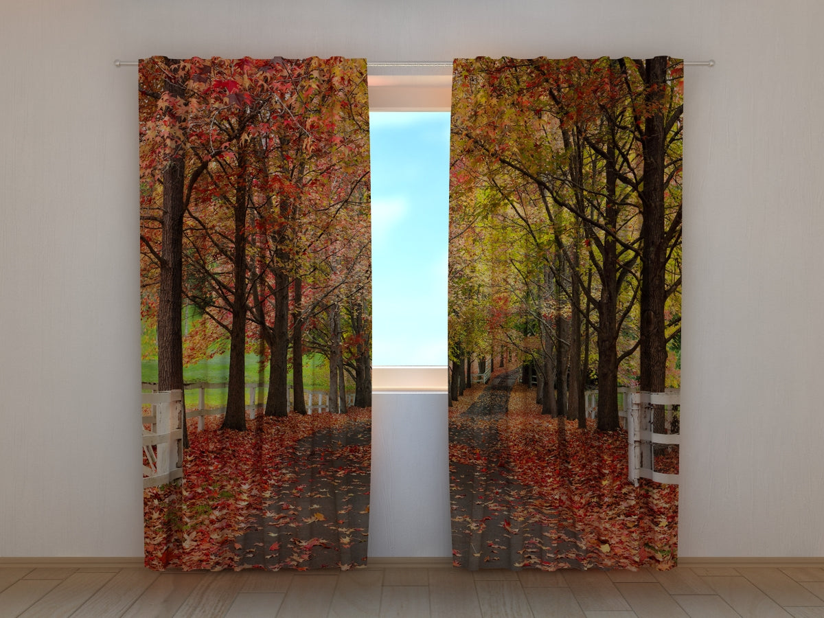 Fotogardine Roter Herbst