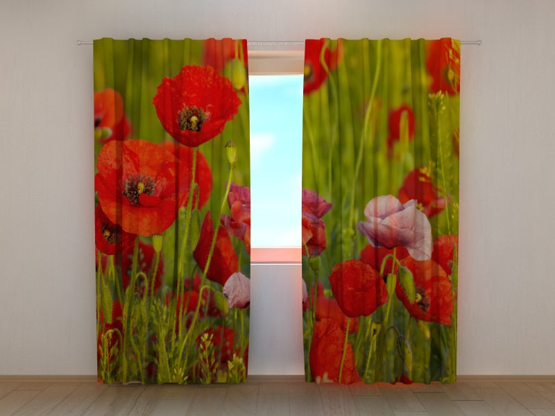 Fotogardine Rote Mohnblumen