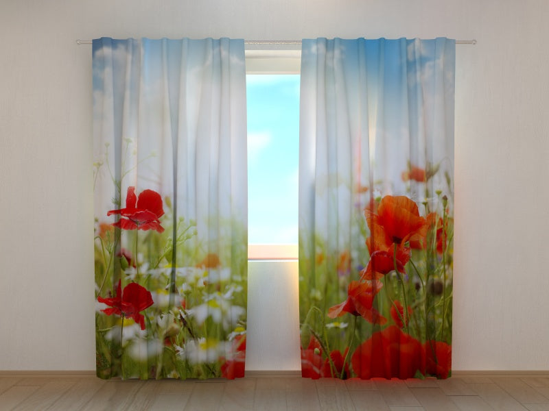 Fotogardine Rote Mohnblumen und blauer Himmel
