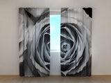 Fotogardine Rosen in Schwarz- und Weißtönen