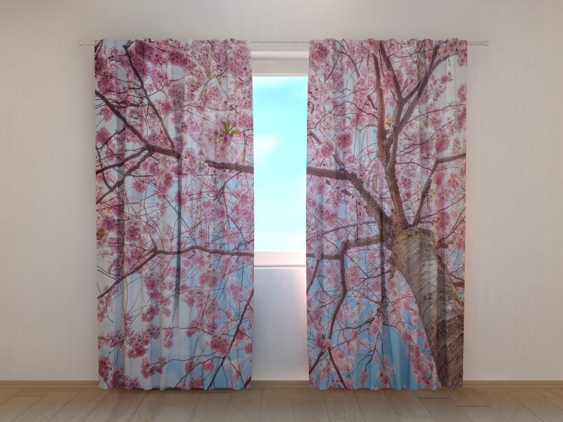 Fotogardine Sakura blüht von unten nach oben