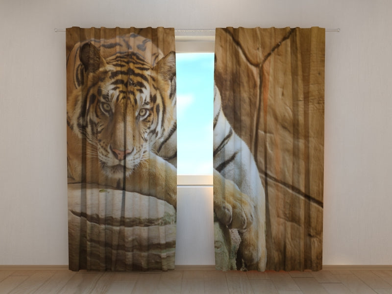 Fotogardine Tiger auf einem Felsen