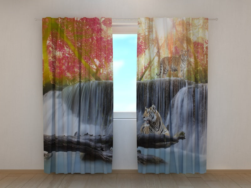 Fotogardine Tiger am Herbstwasserfall